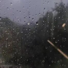 暴雨黄色预警，涉及辽宁多地！今天的雨这样下