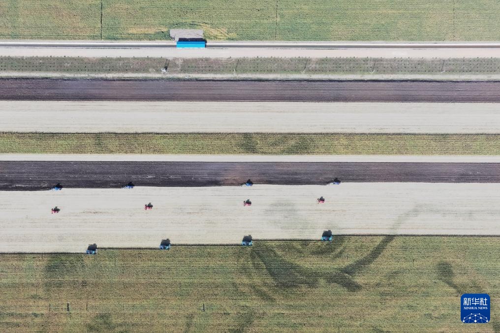 “大粮仓”黑龙江进入秋收季