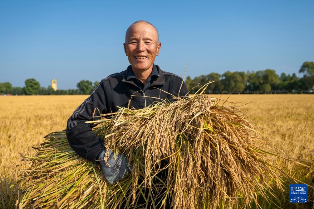 “大粮仓”黑龙江进入秋收季