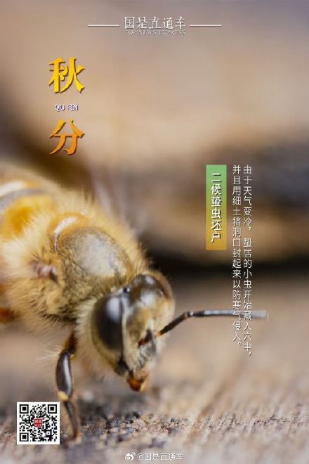 秋分是初秋和深秋的分水岭