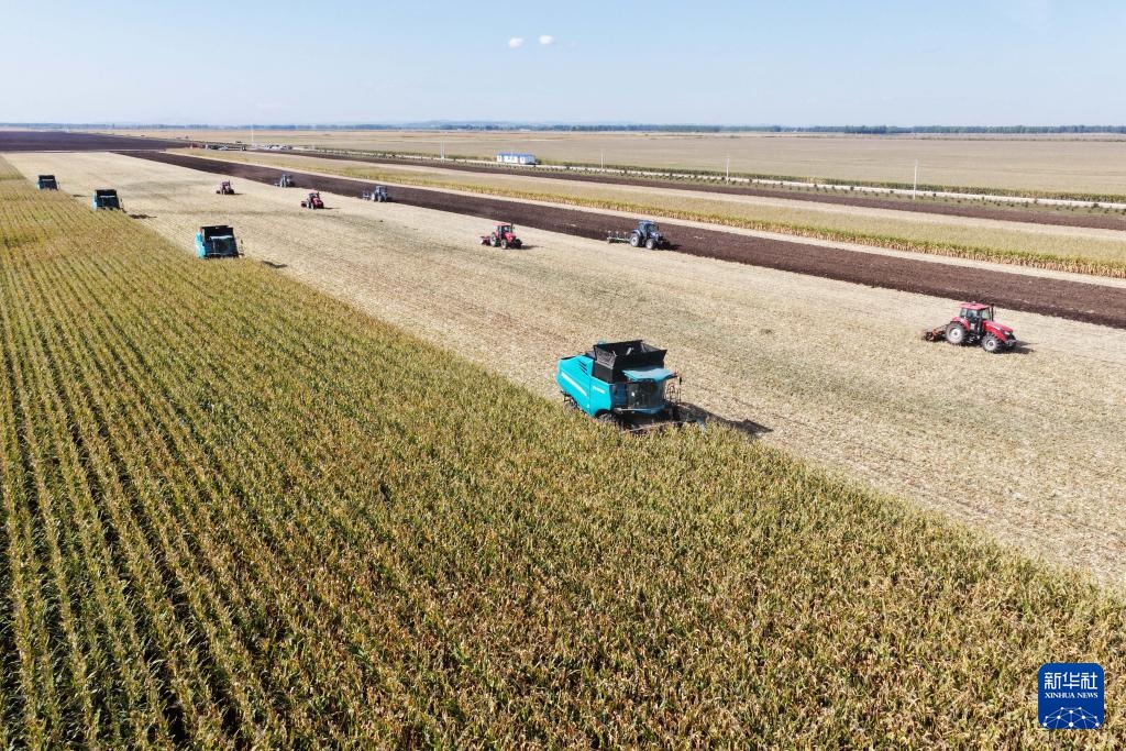 “大粮仓”黑龙江进入秋收季