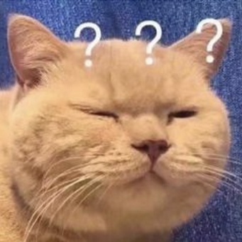 弟弟的车登记在姐姐名下，姐姐离婚，车归了姐夫？法院判了！