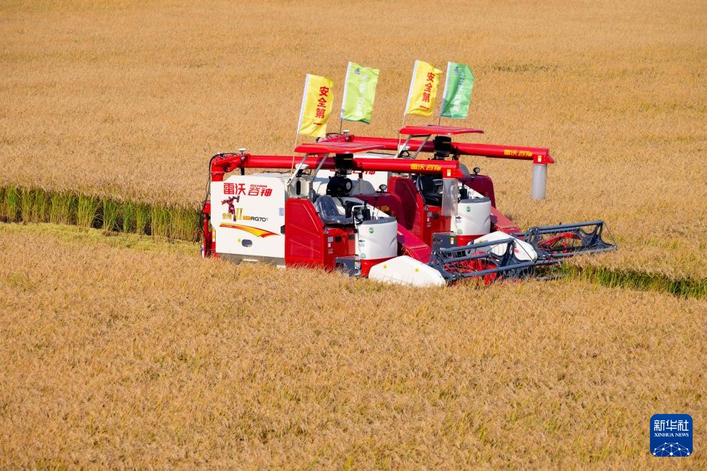 “大粮仓”黑龙江进入秋收季