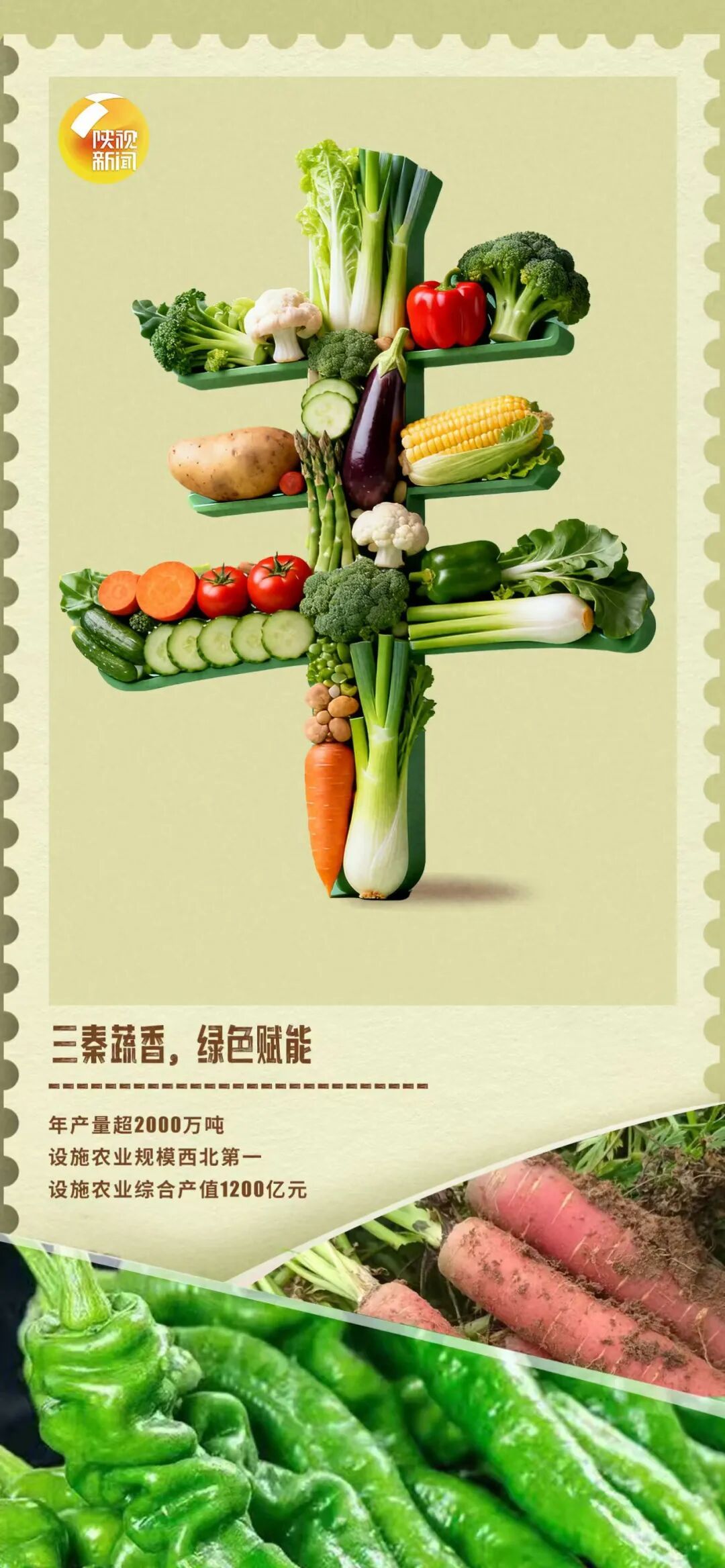 额滴神！陕西这波丰收“晒”得，扎实！