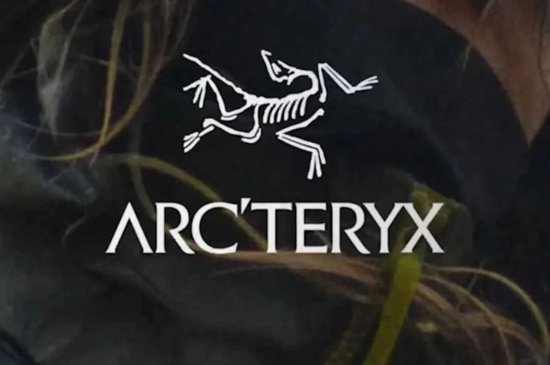 蔡国强“大闹天宫”感言曝光,始祖鸟母公司股价大跌! 蔡国强“大闹天宫”感言曝光,始祖鸟母公司股价大跌!