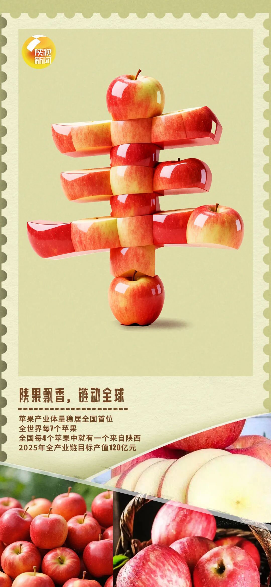 额滴神！陕西这波丰收“晒”得，扎实！