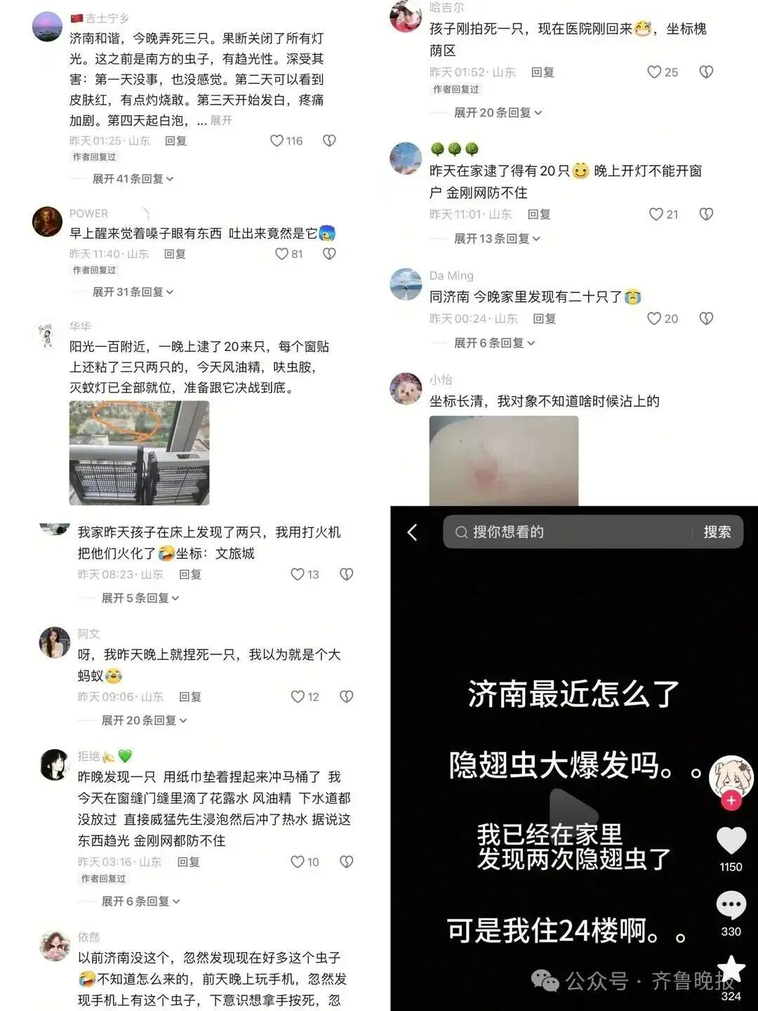 山东多地现“飞行的硫酸”隐翅虫！有人差点“毁容”！这种虫子，千万别拍！