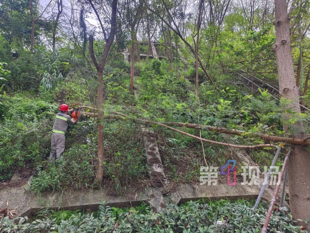 谨防“加沙”!粤B市民花式防台风!最高级别台风红色预警将发布→ 谨防“加沙”!粤B市民花式防台风!最高级别台风红色预警将发布→