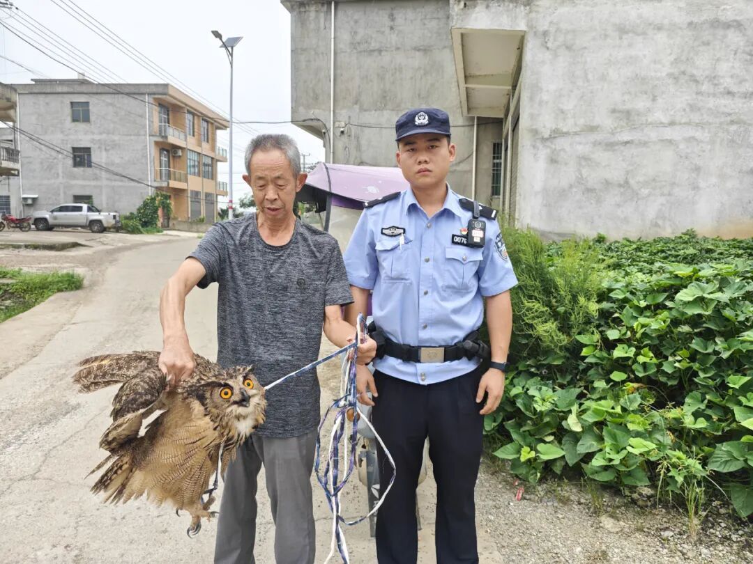 雕鸮(xiāo):警察叔叔,我偷鸡吃,鸡该判几年? 雕鸮(xiāo):警察叔叔,我偷鸡吃,鸡该判几年?