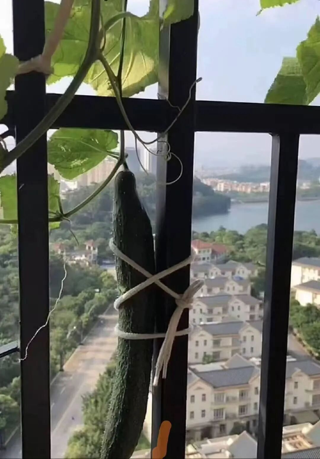 谨防“加沙”!粤B市民花式防台风!最高级别台风红色预警将发布→ 谨防“加沙”!粤B市民花式防台风!最高级别台风红色预警将发布→