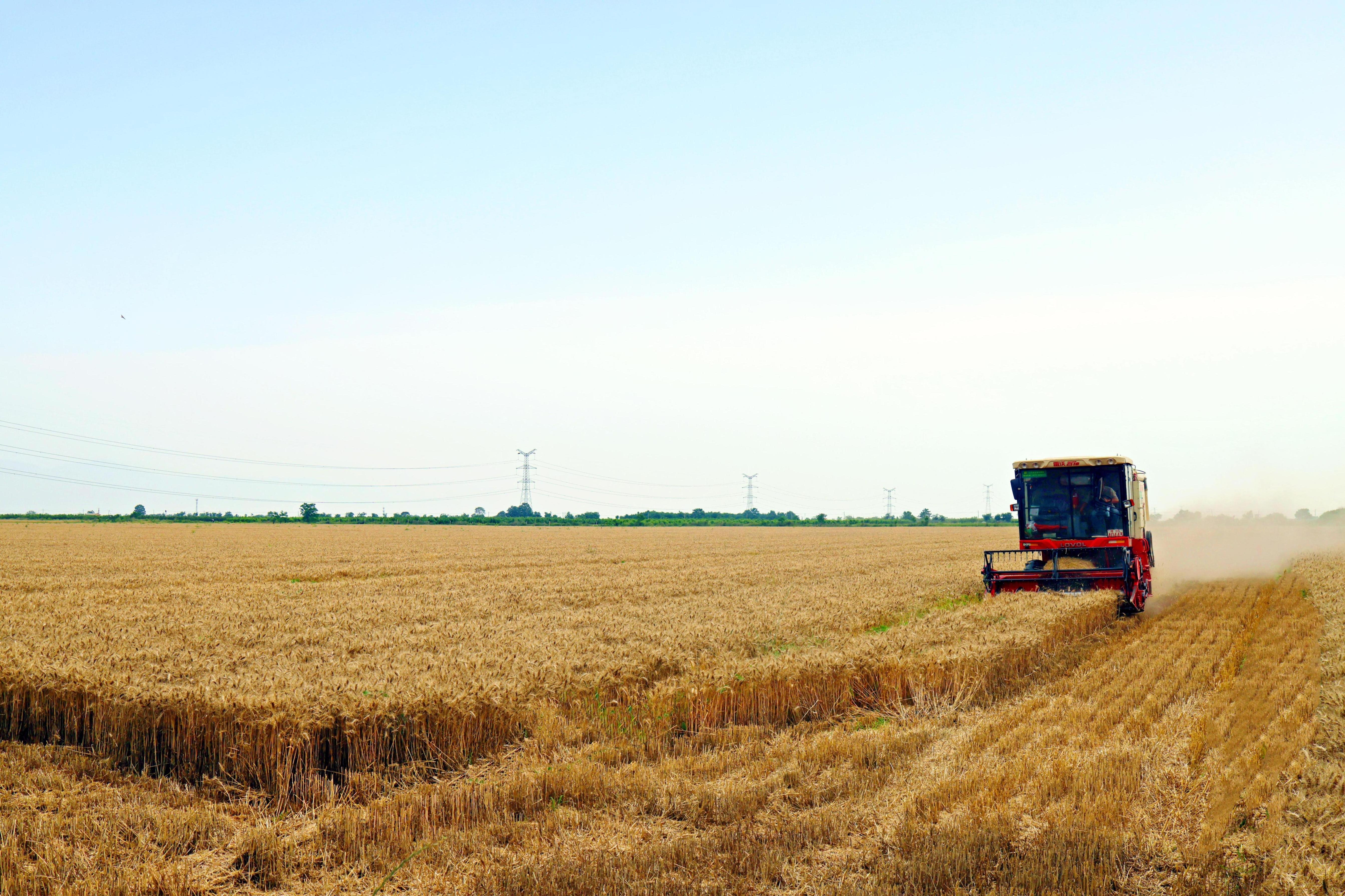 全方位保障粮田用水 筑牢大国粮仓水利根基 全方位保障粮田用水 筑牢大国粮仓水利根基