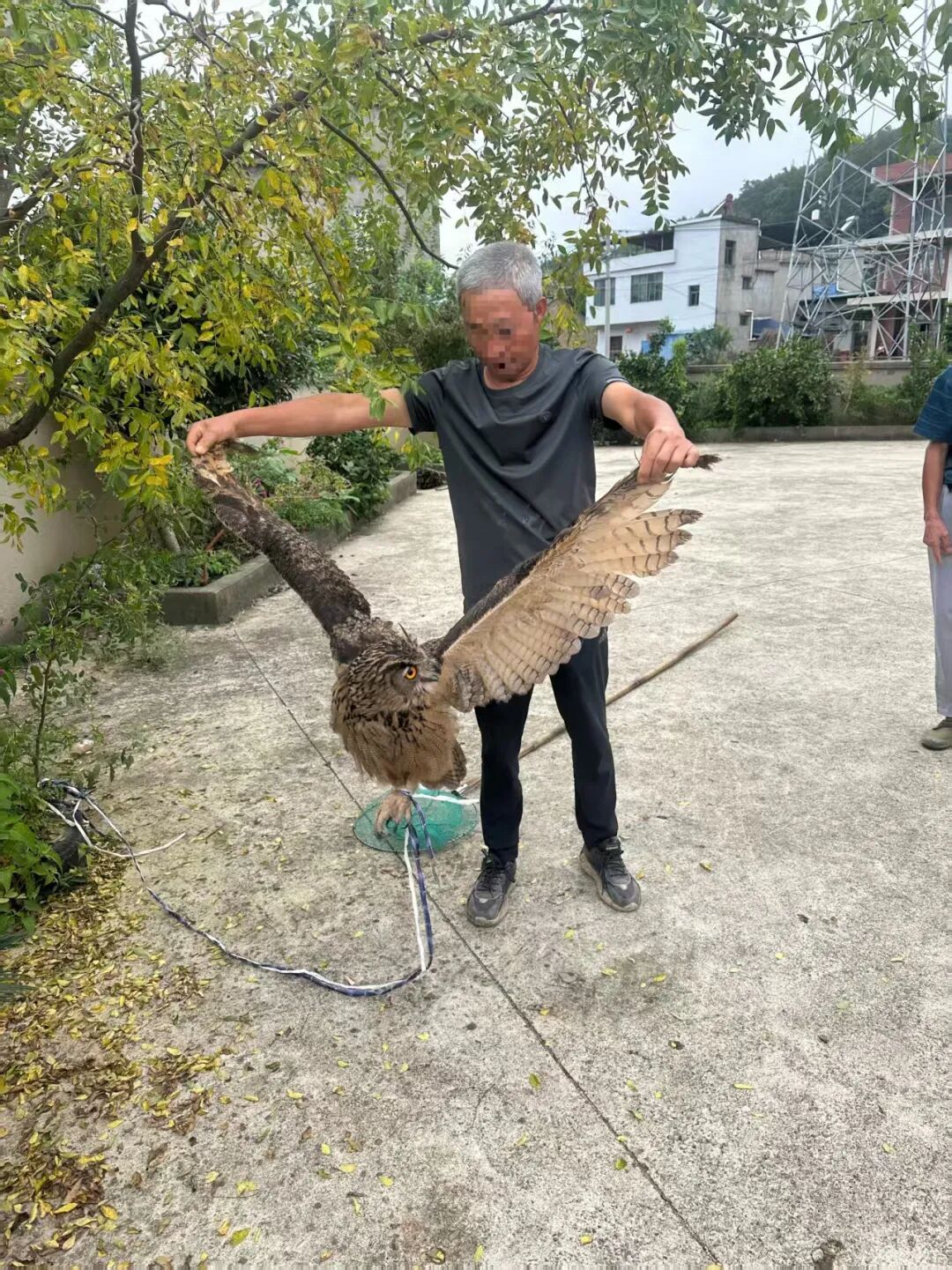 雕鸮(xiāo):警察叔叔,我偷鸡吃,鸡该判几年? 雕鸮(xiāo):警察叔叔,我偷鸡吃,鸡该判几年?