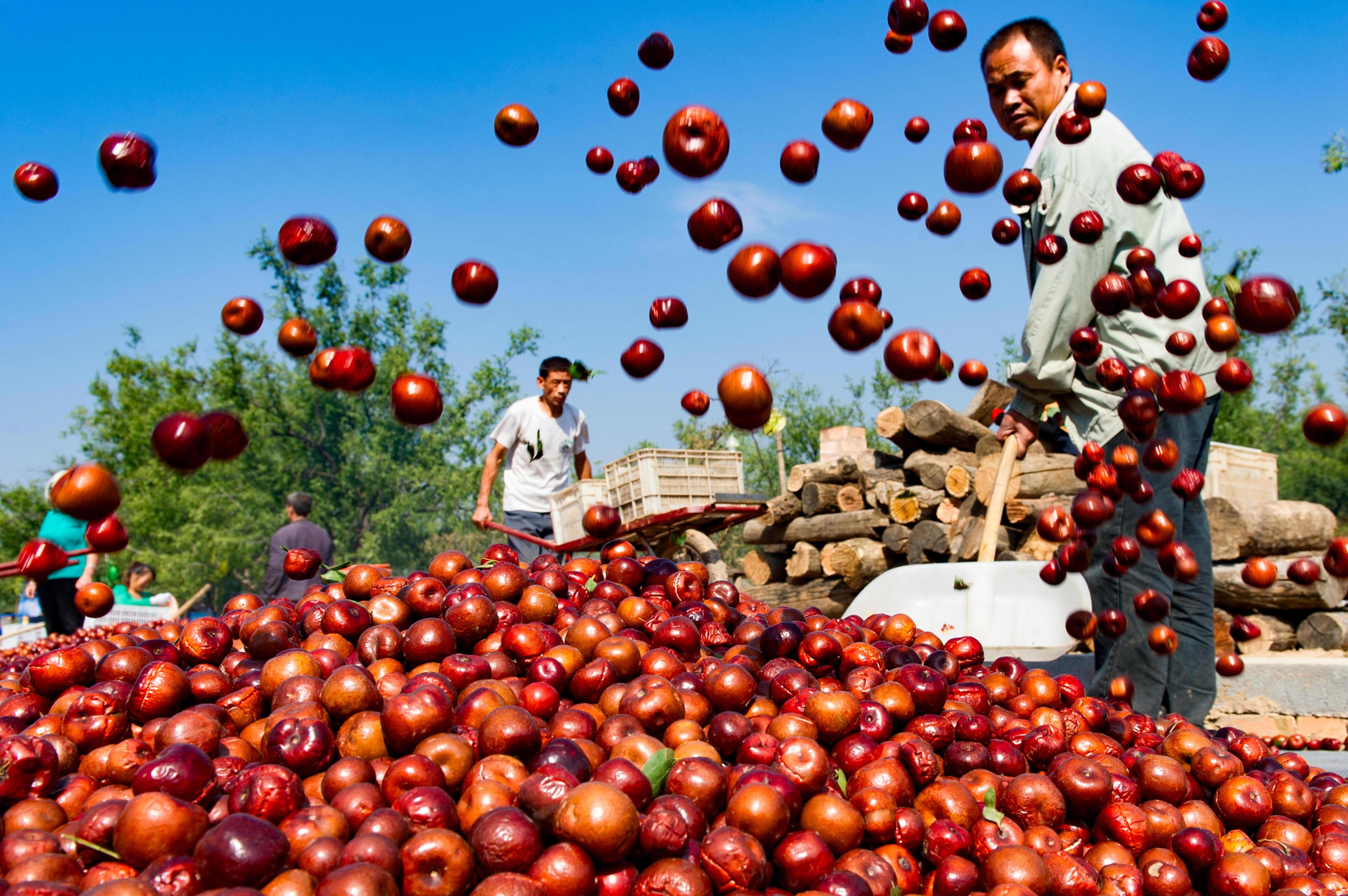 全方位保障粮田用水 筑牢大国粮仓水利根基 全方位保障粮田用水 筑牢大国粮仓水利根基