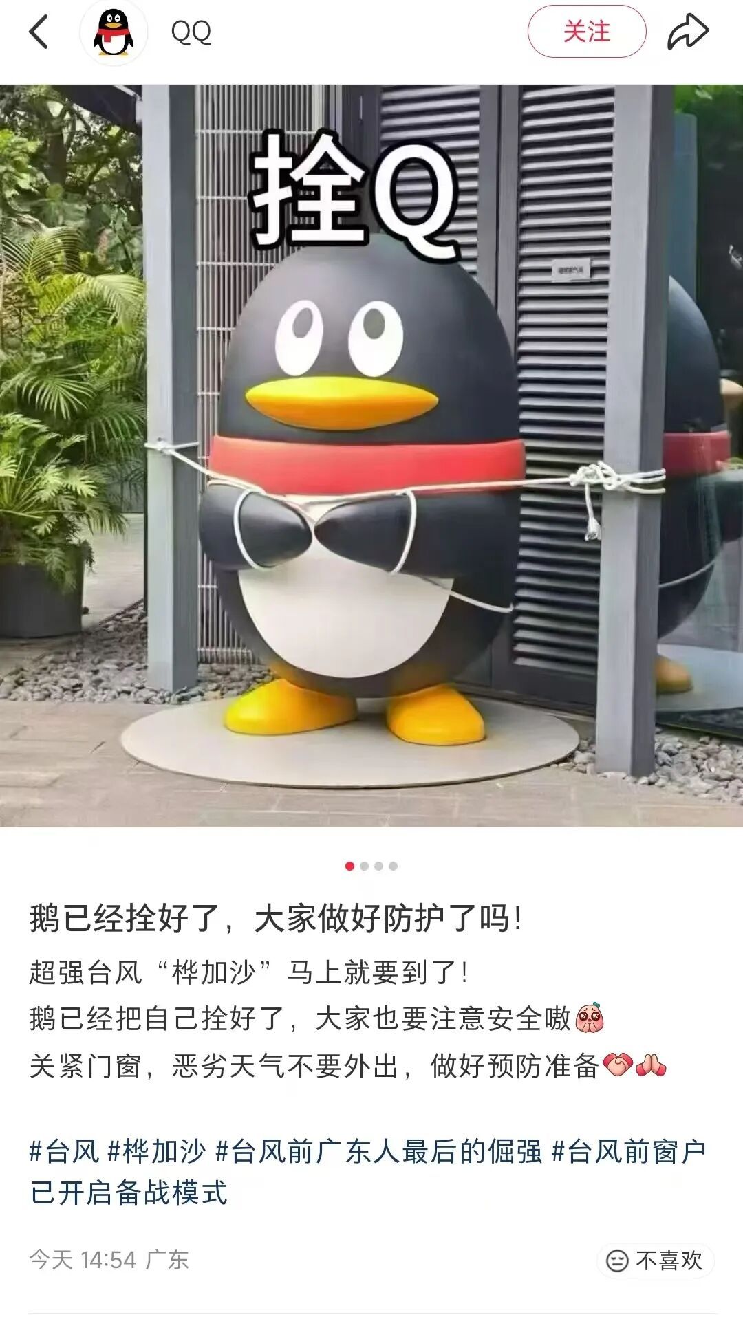 企鹅变“拴Q”、汽车被五花大绑……广东深圳全力备战超强台风“桦加沙”