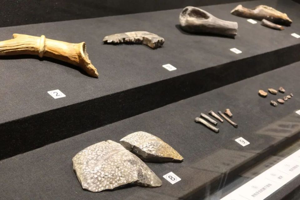 6000多年前，“城里人”是这样生活的