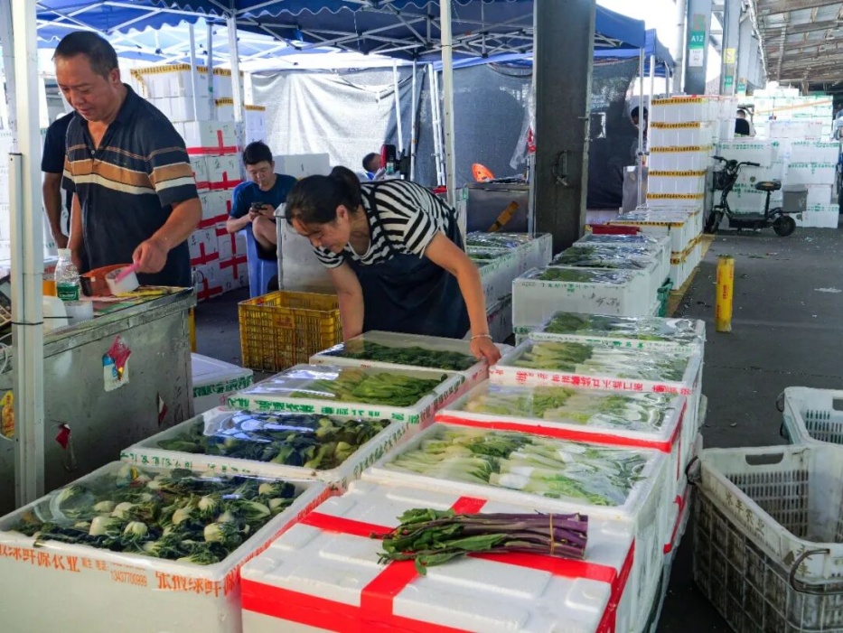 “桦加沙”距深500公里+！7000吨蔬菜已到货！深圳人的“菜篮子”“米袋子”管足管够