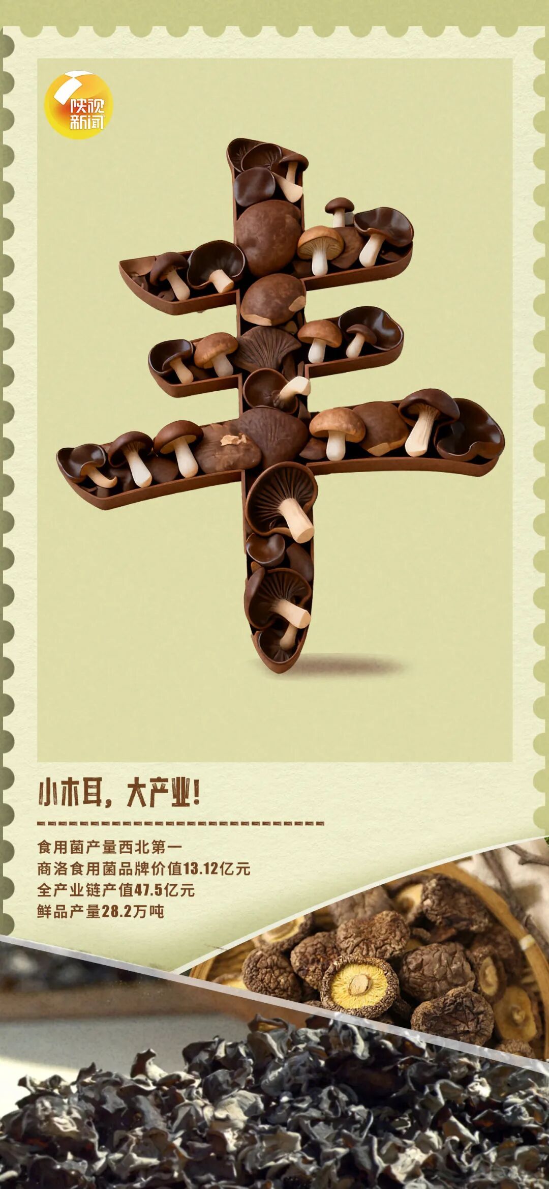 额滴神！陕西这波丰收“晒”得，扎实！