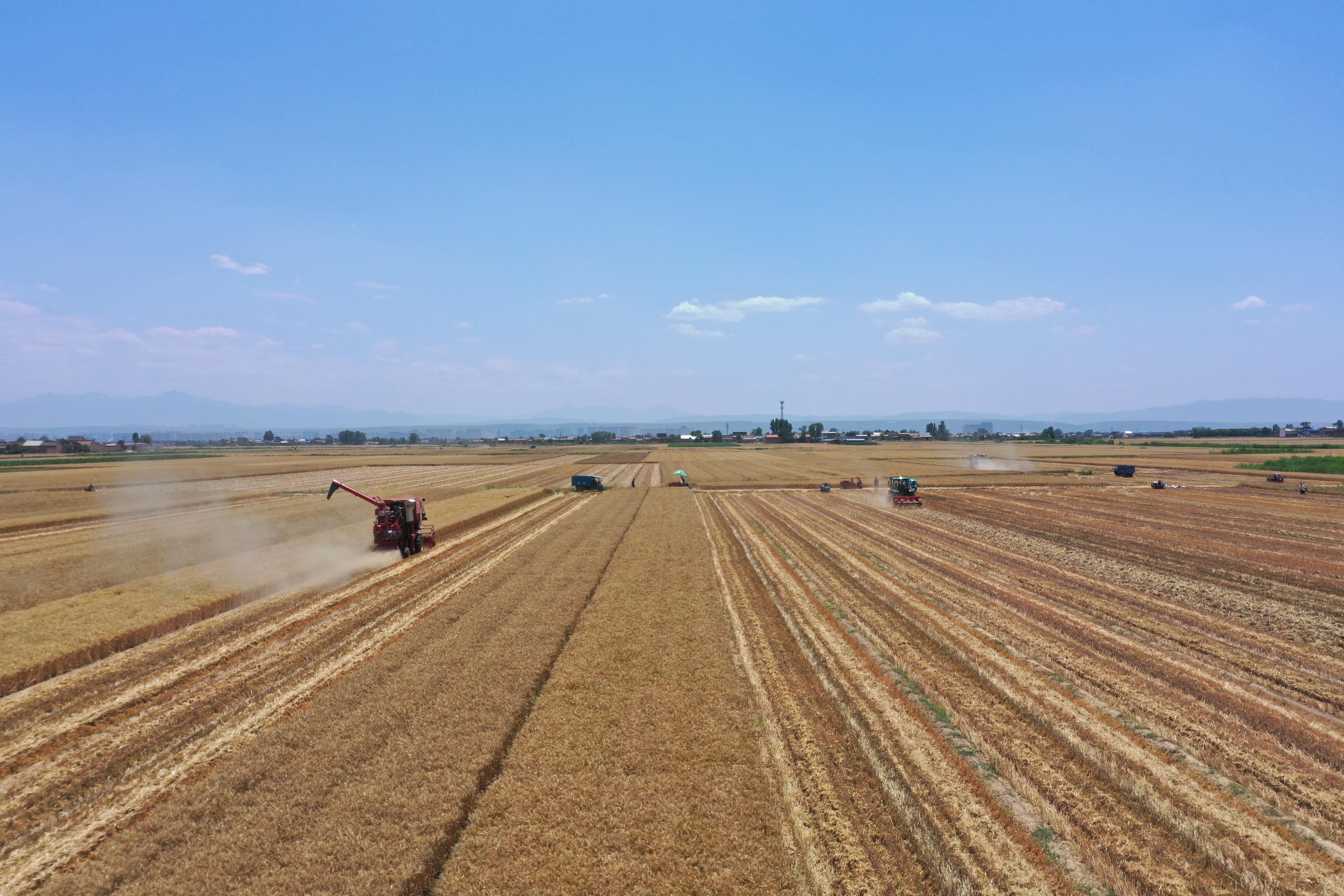 全方位保障粮田用水 筑牢大国粮仓水利根基 全方位保障粮田用水 筑牢大国粮仓水利根基