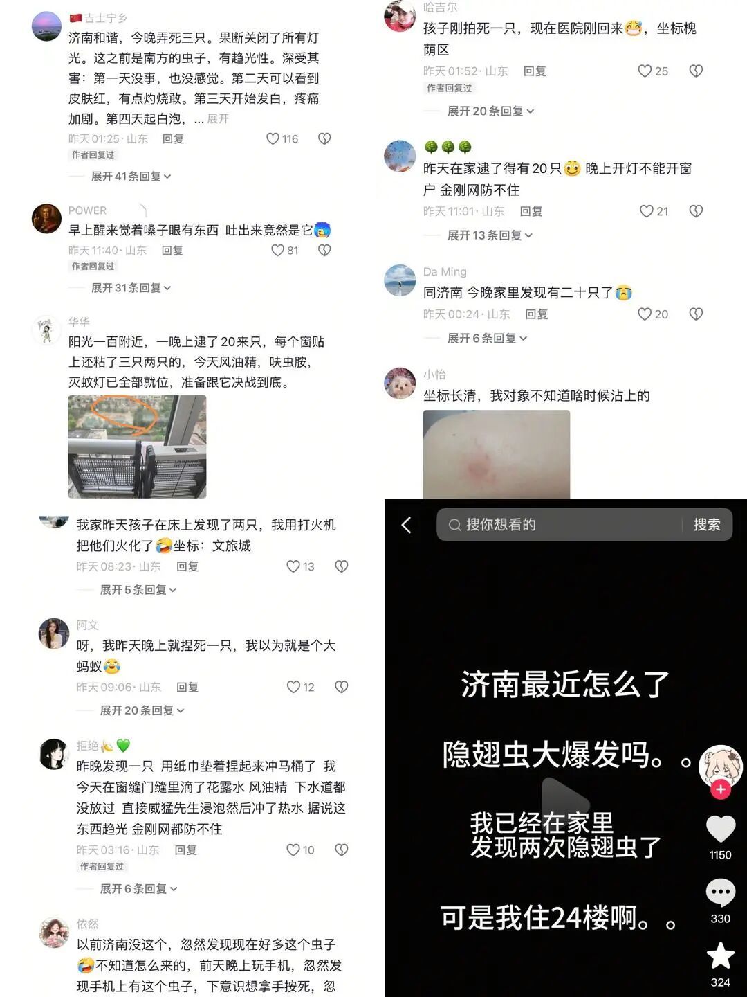 警惕“飞行的硫酸”！济南多人遭隐翅虫袭击