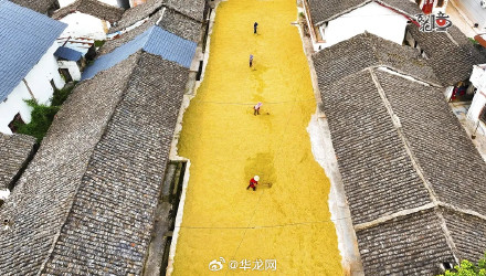 解锁巴渝大地丰收喜悦