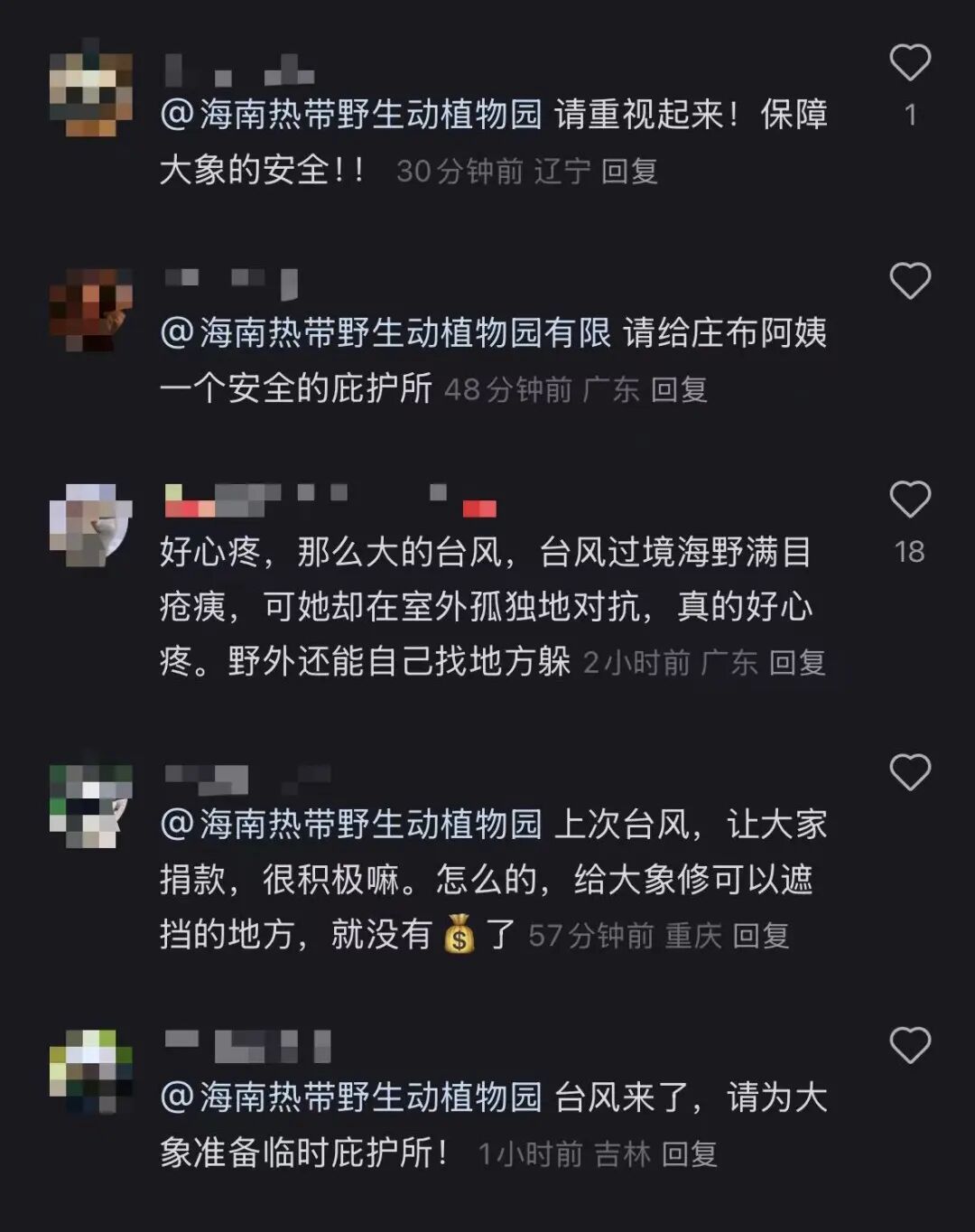 17级“桦加沙”将至，海南一55岁大象无避雨内舍引关注，动物园：感谢关心，会保护