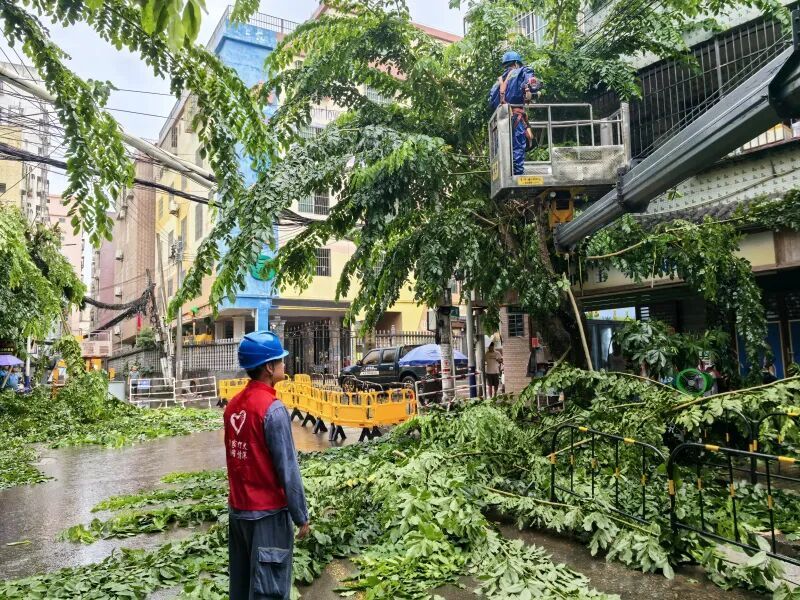 提前清理树障储备应急装备 海口全力防范台风“桦加沙” 提前清理树障储备应急装备 海口全力防范台风“桦加沙”