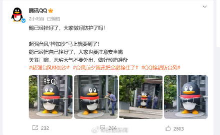 企鹅：这次台风真的拴Q了