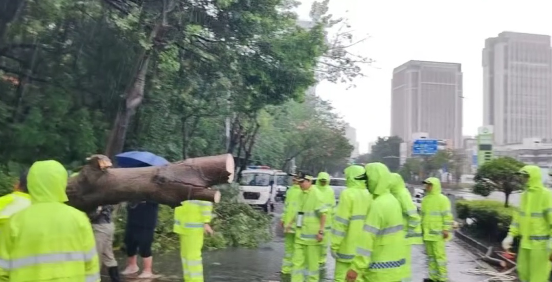 “桦加沙” 掠过深圳近海！记者直击防汛抗台第一线