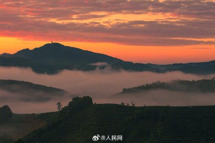 云南普洱茶山云海季上线 云南普洱茶山云海季上线