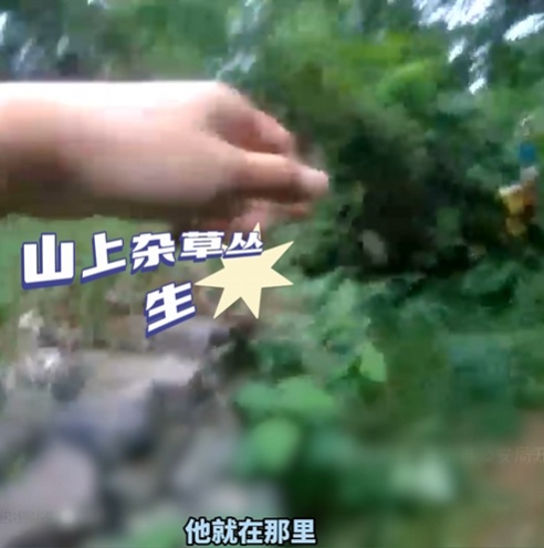 一家四口登山迷路，“空警”助力平安返程