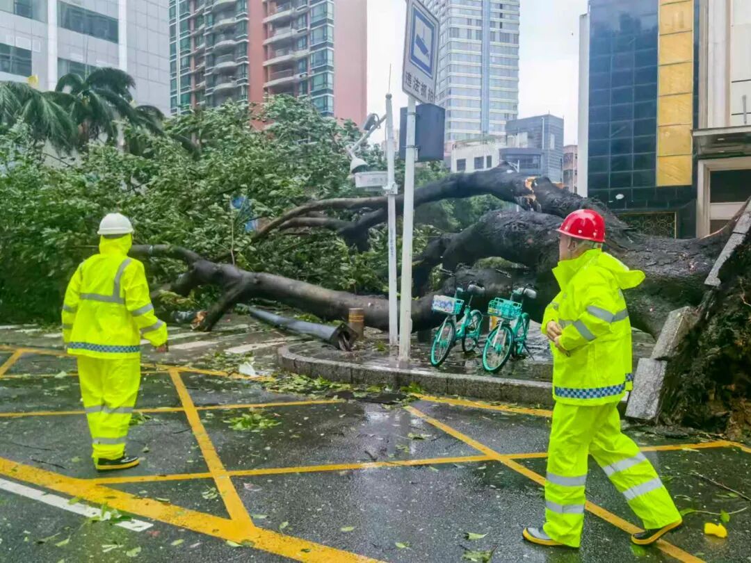 “桦加沙” 掠过深圳近海！记者直击防汛抗台第一线
