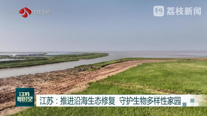 江苏：推进沿海生态修复 守护生物多样性家园