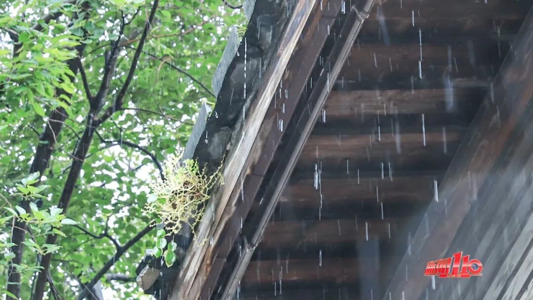 台风“桦加沙”登陆！强降雨波及福建！又有新台风生成......