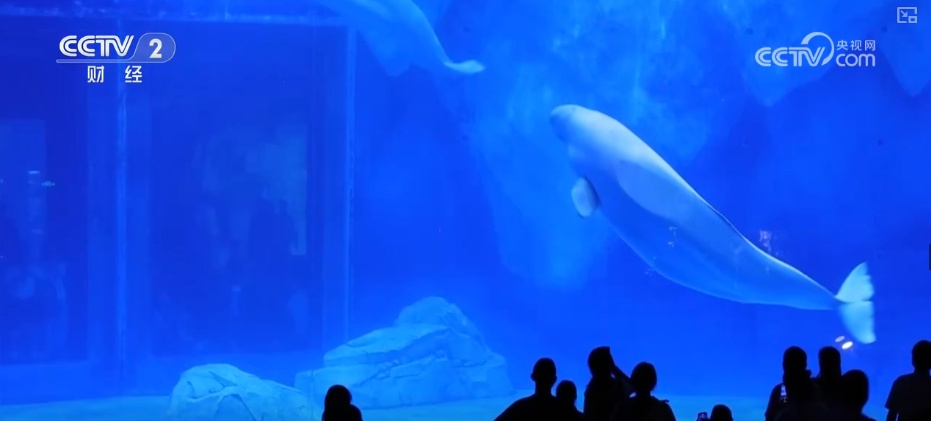 “机械巨兽”“AI学者”……AI赋能激发文旅新活力 数字化转型与降本增效动力十足 “机械巨兽”“AI学者”……AI赋能激发文旅新活力 数字化转型与降本增效动力十足