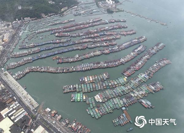 登陆了！台风“桦加沙”登陆广东阳江海陵岛沿海 十余省份台风雨强劲