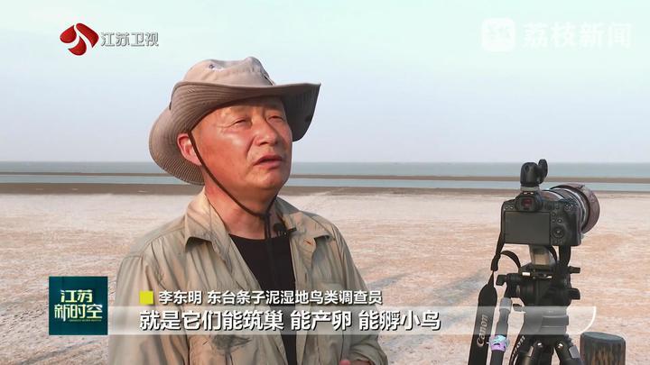 江苏：推进沿海生态修复 守护生物多样性家园