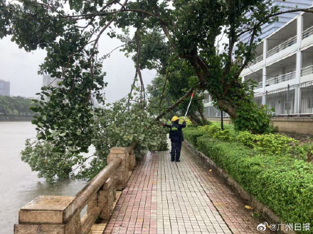 专家解读今年9月广东台风特别多