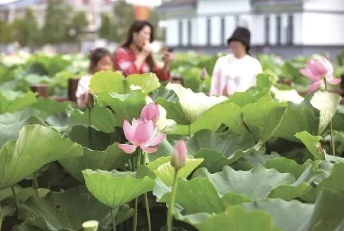 官宣：西安已正式入秋！