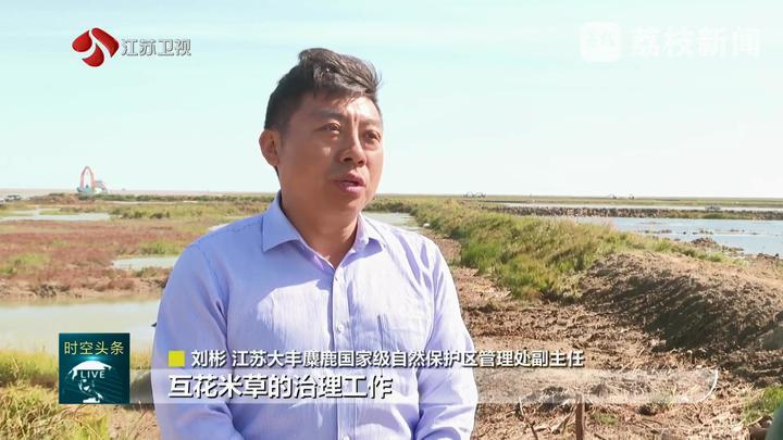 江苏：推进沿海生态修复 守护生物多样性家园