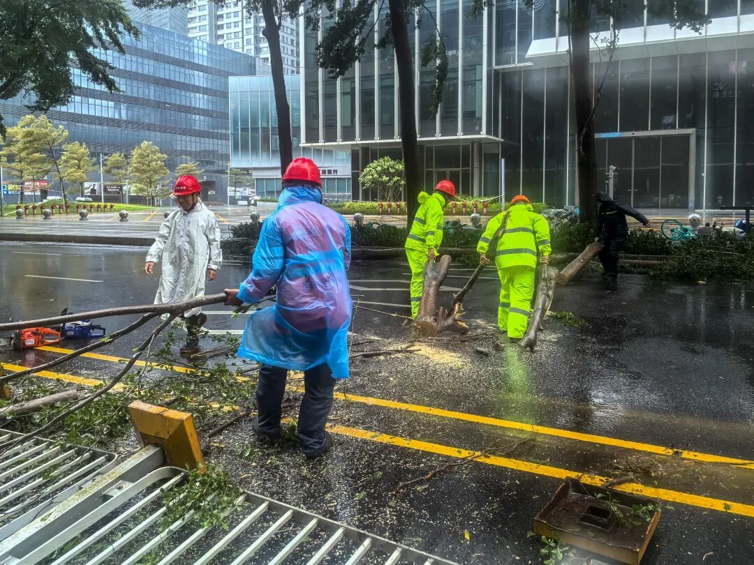 “桦加沙” 掠过深圳近海！记者直击防汛抗台第一线