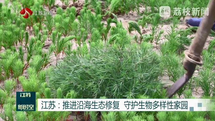 江苏：推进沿海生态修复 守护生物多样性家园