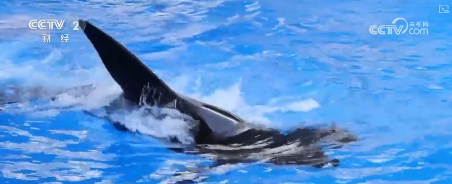 “机械巨兽”“AI学者”……AI赋能激发文旅新活力 数字化转型与降本增效动力十足 “机械巨兽”“AI学者”……AI赋能激发文旅新活力 数字化转型与降本增效动力十足