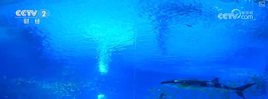 “机械巨兽”“AI学者”……AI赋能激发文旅新活力 数字化转型与降本增效动力十足 “机械巨兽”“AI学者”……AI赋能激发文旅新活力 数字化转型与降本增效动力十足