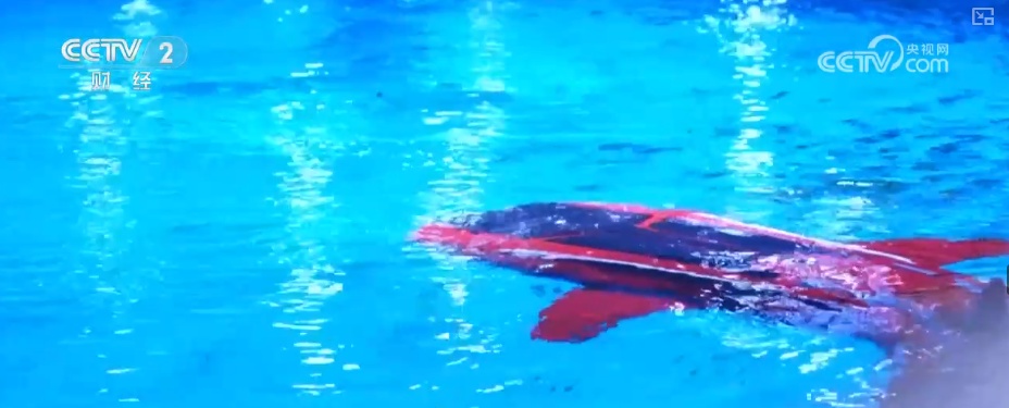 “机械巨兽”“AI学者”……AI赋能激发文旅新活力 数字化转型与降本增效动力十足 “机械巨兽”“AI学者”……AI赋能激发文旅新活力 数字化转型与降本增效动力十足