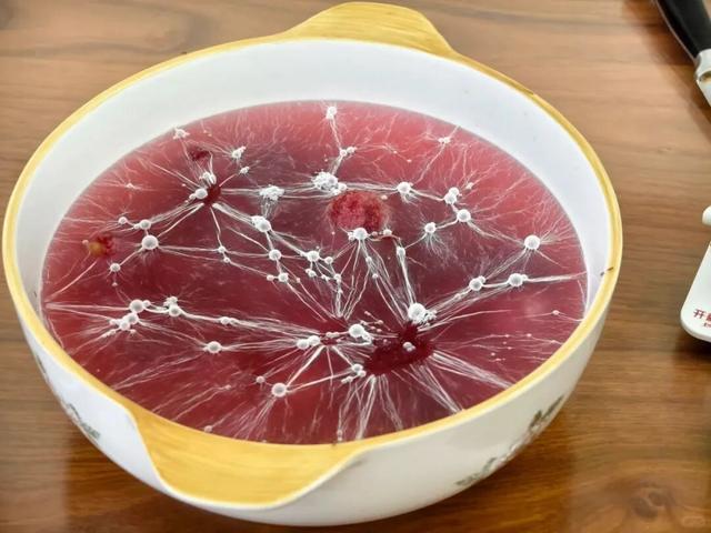 杨梅泡水几天成这样了，白色的是什么？