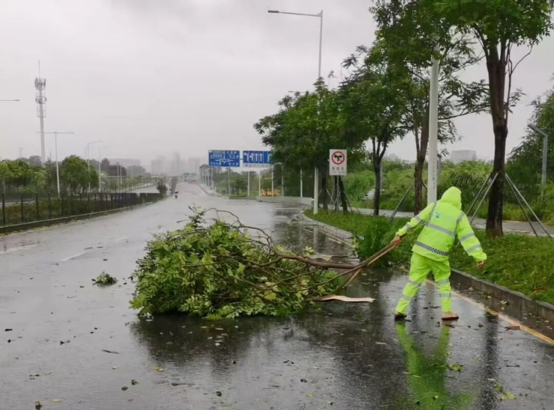 “桦加沙” 掠过深圳近海！记者直击防汛抗台第一线