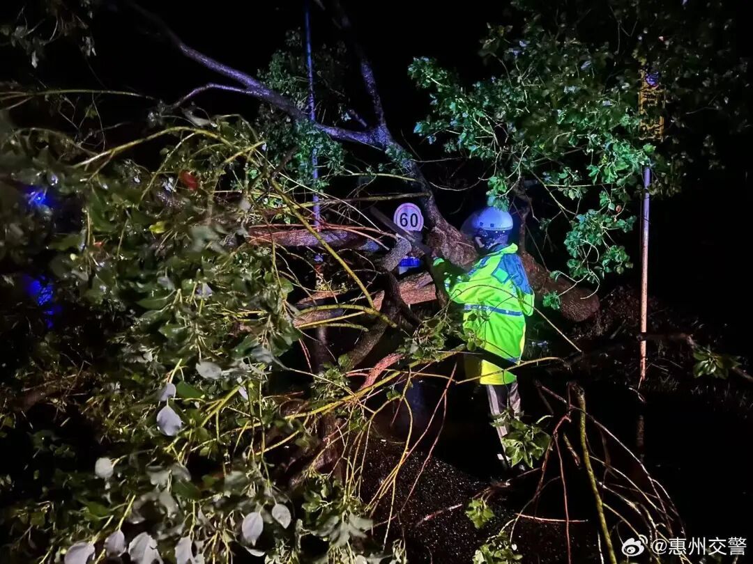 迎战台风“桦加沙”，交警全力以赴！