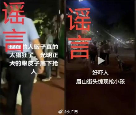 眉山远景楼有人抢小孩是假的
