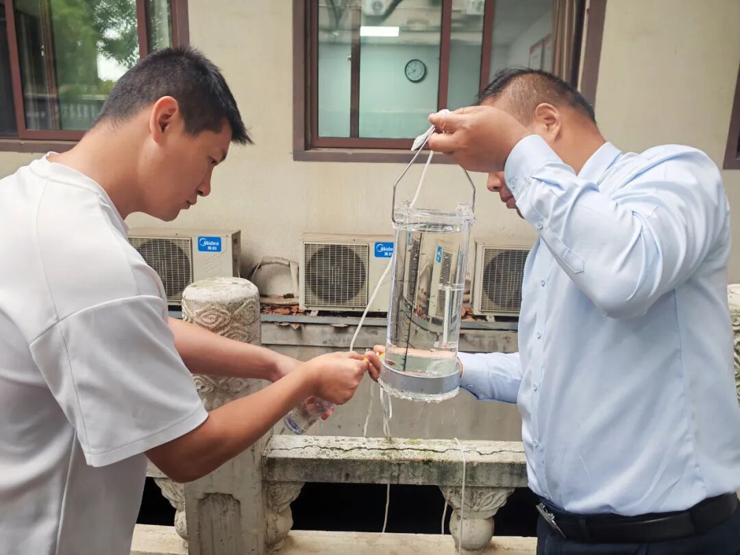 太罕见！武汉中心城区突然出现，“目测有上千只”