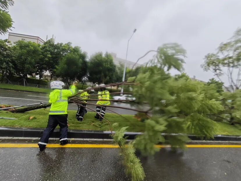 满城风雨，总有人护您周全